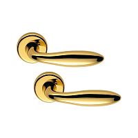 Ручки на розетте COLOMBO Mach CD81 (CD69BZGG-CD63GB) полированная латунь